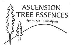 Ascension Tree Essences